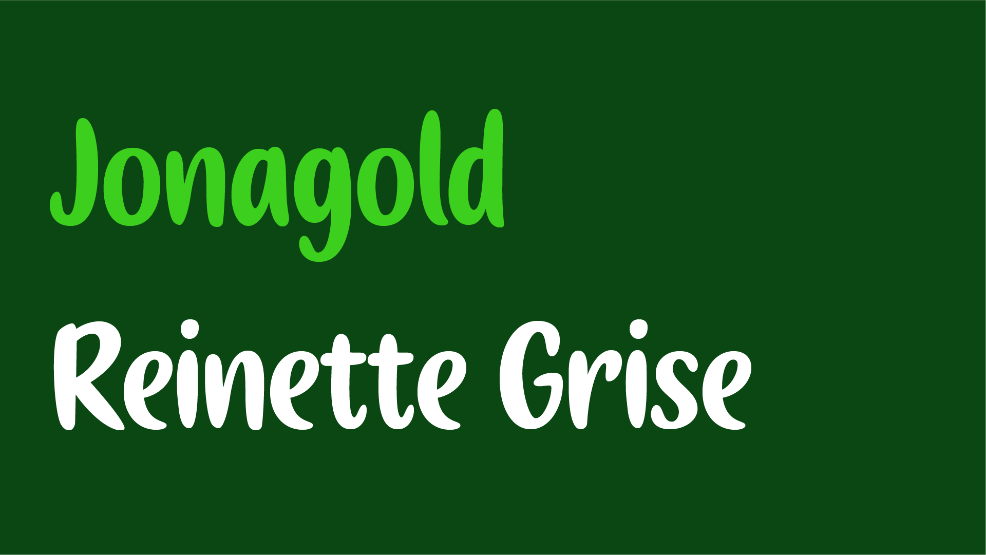 Babelfont – Amelky – Latin