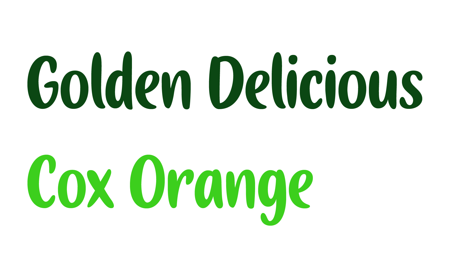 Babelfont – Amelky – Latin