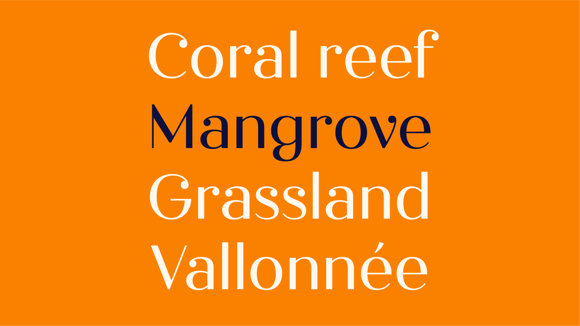 Babelfont – Biorama – Latin